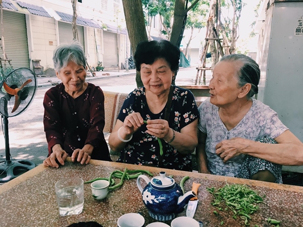 Nhà dưỡng lão Diên Hồng